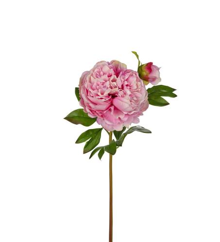 Pion - Rosa - 65 cm - www.frokenfraken.se