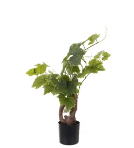 Vinstock - Grønn - 55 cm - www.frokenfraken.se