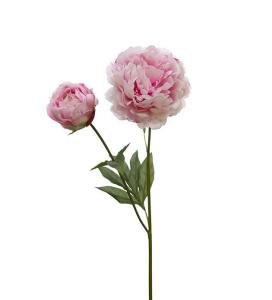 Pion - Rosa - 75 cm - www.frokenfraken.se