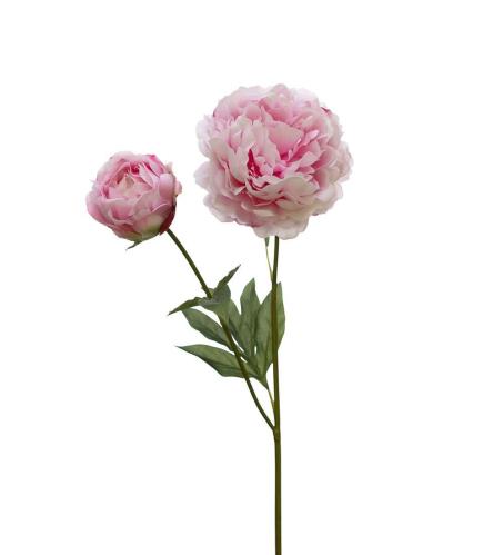 Pion - Rosa - 75 cm - www.frokenfraken.se