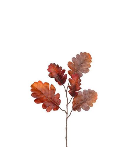 Höstkvist - Eik - Brun - 40 cm - www.frokenfraken.se