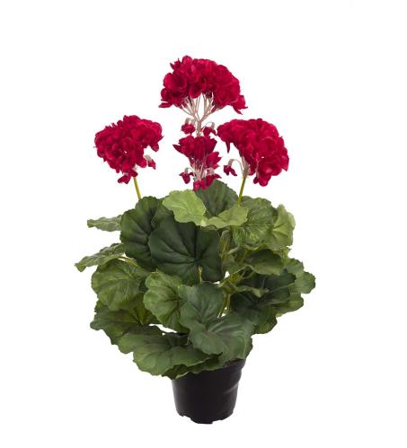 Pelargon Mårbacka - Rød - 40 cm - www.frokenfraken.se