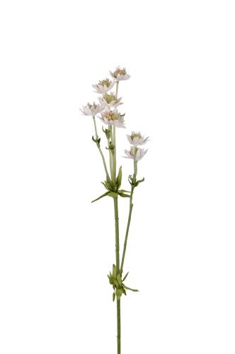 Stjärnflocka - Burgunder - 55 cm - www.frokenfraken.se