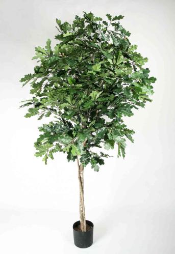 Ek Tre - 180 cm - www.frokenfraken.se