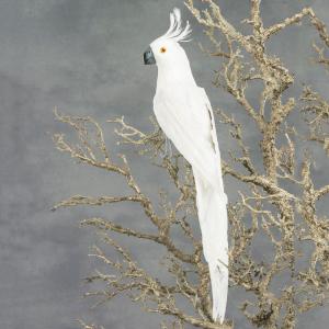 Papegøye - Stor Hvit - 50 cm - www.frokenfraken.se