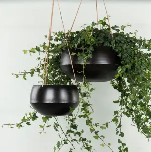 Ampel - Børstet Svart - liten - Ø22 cm - www.frokenfraken.se