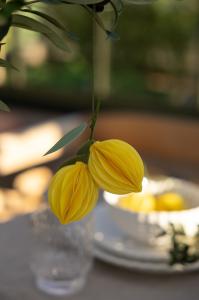 Citron - Pappersheng - 10 cm - www.frokenfraken.se