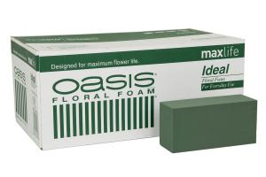 Oasis Ideal - 1 st Grønn Stickmassa - For ferske blomster - www.frokenfraken.se