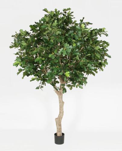 Ek Tre - 350 cm - www.frokenfraken.se