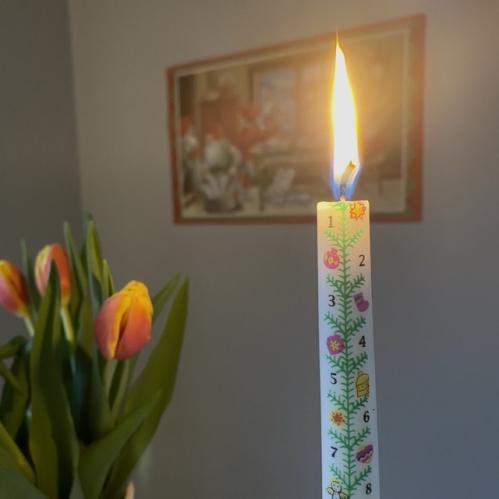 Dato lys - Kalender lys - 38 cm - www.frokenfraken.se