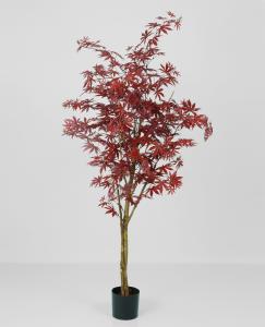 Lønn - Rød - 140 cm - www.frokenfraken.se