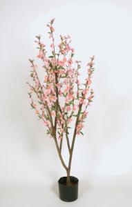 Kirsebærtre - 120 cm - www.frokenfraken.se