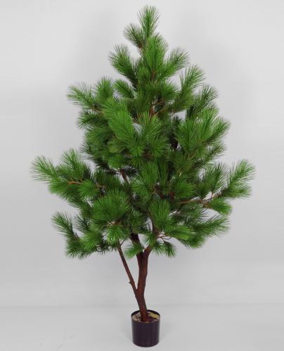 Tallar - Furutrær - 170 cm - 2 stk - www.frokenfraken.se