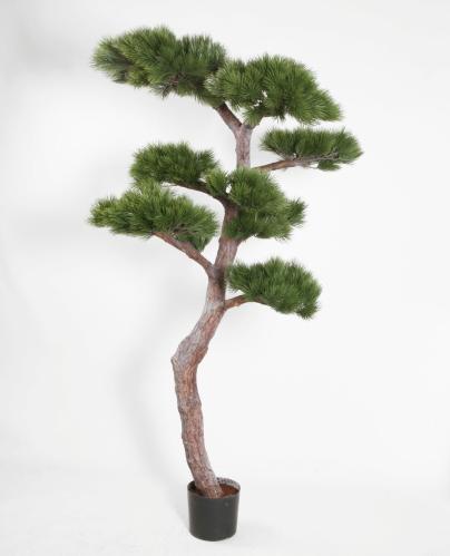Tall - Furutre - 140 cm - www.frokenfraken.se