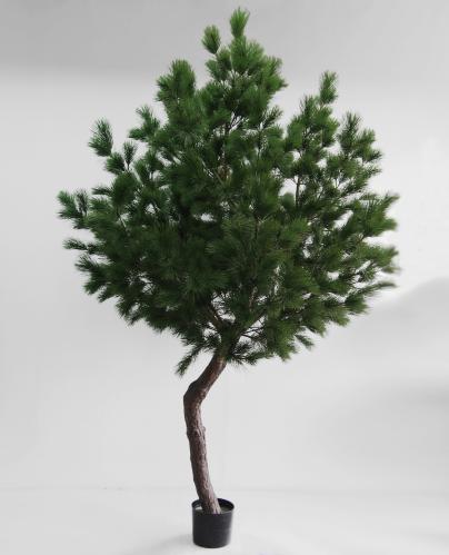 Høy - Furu - 270 cm - www.frokenfraken.se