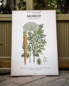 Skoleplakat Morot - L44 x B66 cm - www.frokenfraken.se
