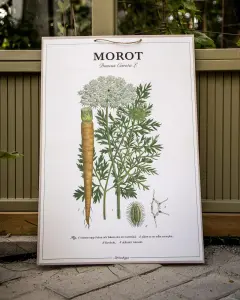 Skoleplakat Morot - L44 x B66 cm - www.frokenfraken.se