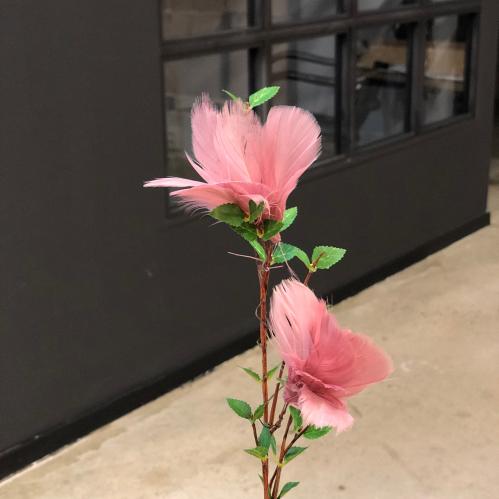 Fjær - Fjærblomster på tråd - Gammelrosa - 12-pakning - www.frokenfraken.se