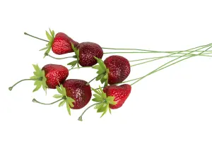 Jordbær - på pinne - www.frokenfraken.se