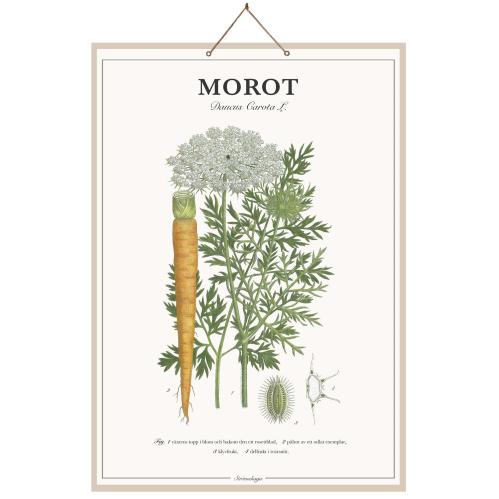 Skoleplakat Morot - L44 x B66 cm - www.frokenfraken.se