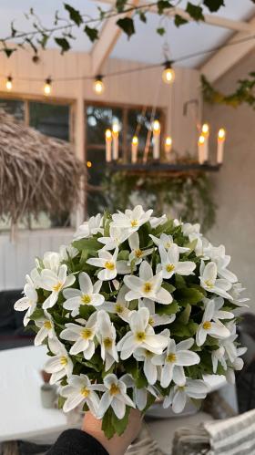 Ljuskrona i vajer - 75 cm - www.frokenfraken.se