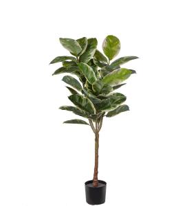 Fikus Elastica - Grønn - 150 cm - www.frokenfraken.se