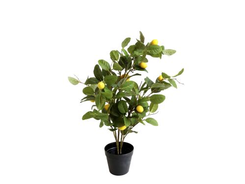 Citrusträd - Citron - Konstväxt - 80 cm - www.frokenfraken.se