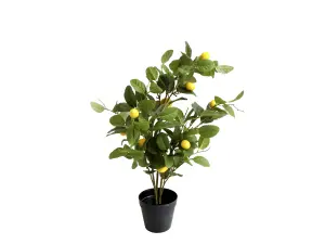 Citrusträd - Citron - Konstväxt - 80 cm - www.frokenfraken.se