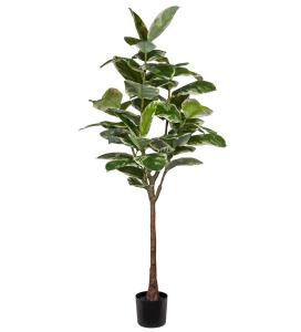 Fikus Elastica - Grønn - 190 cm - www.frokenfraken.se