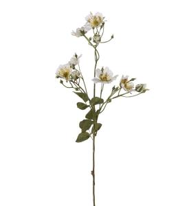 Japansk klätterros - Vit - 65 cm - www.frokenfraken.se