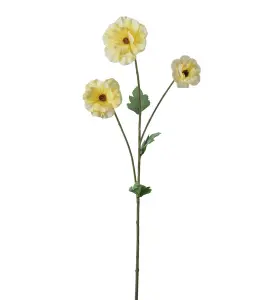 Japansk Ranunkel - Gul - 62 cm - www.frokenfraken.se