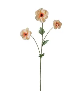 Japansk Ranuncel - Persika - 62 cm - www.frokenfraken.se