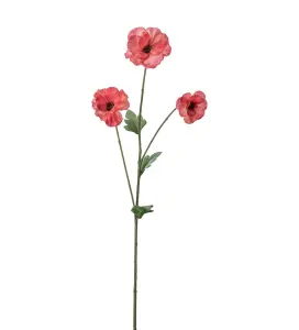 Japansk Ranuncel - Rosa - 62 cm - www.frokenfraken.se