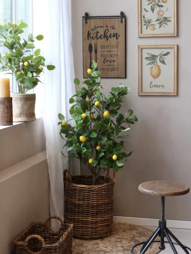 Citrusträd - Citron - Konstväxt - 80 cm - www.frokenfraken.se