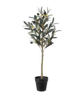 Oliventre - Grønn - 75 cm - www.frokenfraken.se
