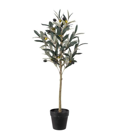 Oliventre - Grønn - 75 cm - www.frokenfraken.se