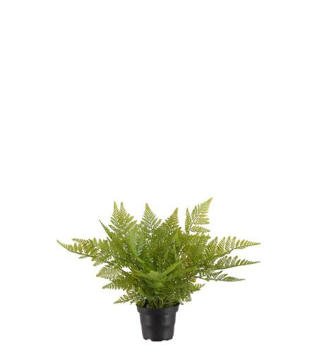 Ormbunke - Grønn - 30 cm - www.frokenfraken.se