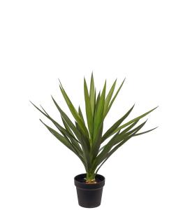 Yucca - Grønn - 70 cm - www.frokenfraken.se