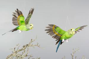 Fugler - grønne - flygende - 2-pakning - www.frokenfraken.se