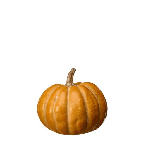 Pumpa - Dekorasjon - Oransje - 17 x 16 - www.frokenfraken.se