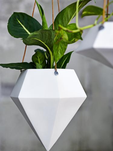 Ampel - Polydrop Grandis - www.frokenfraken.se