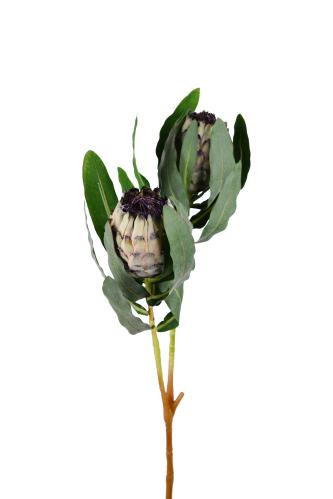 Protea - Grønn - 80 cm - www.frokenfraken.se