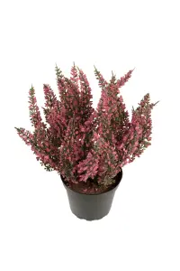 Ljung Cerice - Kunstig Plante - 28 cm - www.frokenfraken.se