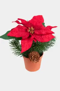 Julstjärna - 14 cm - www.frokenfraken.se