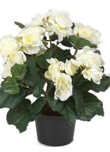 Begonia Vit - Kunstig Plante - 28 cm - www.frokenfraken.se