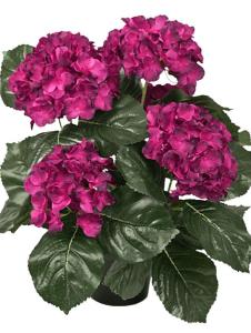 Hortensia - Mörklilla - 37 cm - www.frokenfraken.se