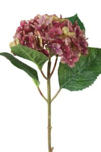 Hortensia - Bordeaux-Lilla silkeblomst - Ø12 cm - www.frokenfraken.se