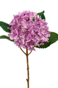 Hortensia - Lilla silkeblomst - Ø12 cm - www.frokenfraken.se