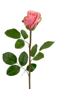 Ros - Rosa silke rose - 50 cm - www.frokenfraken.se