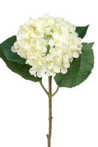 Hortensia - Hvit silkeblomst - Ø12 cm - www.frokenfraken.se